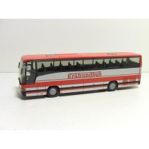 Gråhundbus